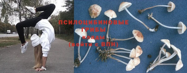 гидра Гусиноозёрск