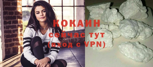 гидра Гусиноозёрск