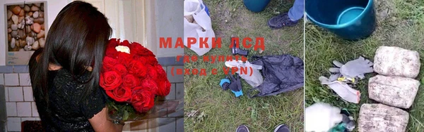 гидра Гусиноозёрск