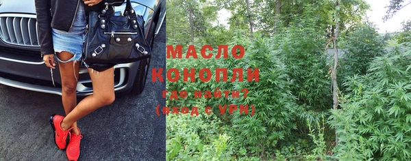 гидра Гусиноозёрск